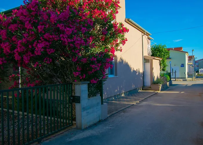 Apartments Anita Frane