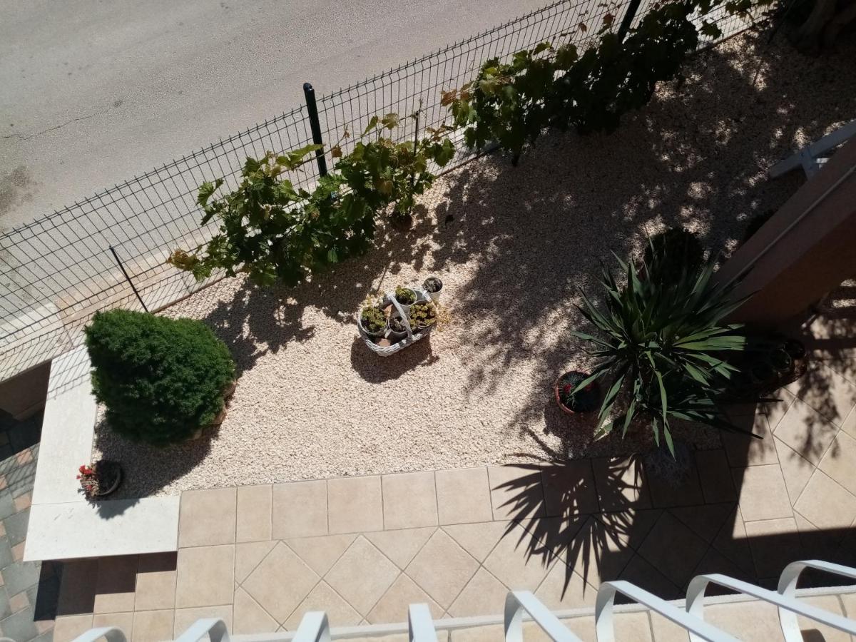 Anita Frane * Vodice