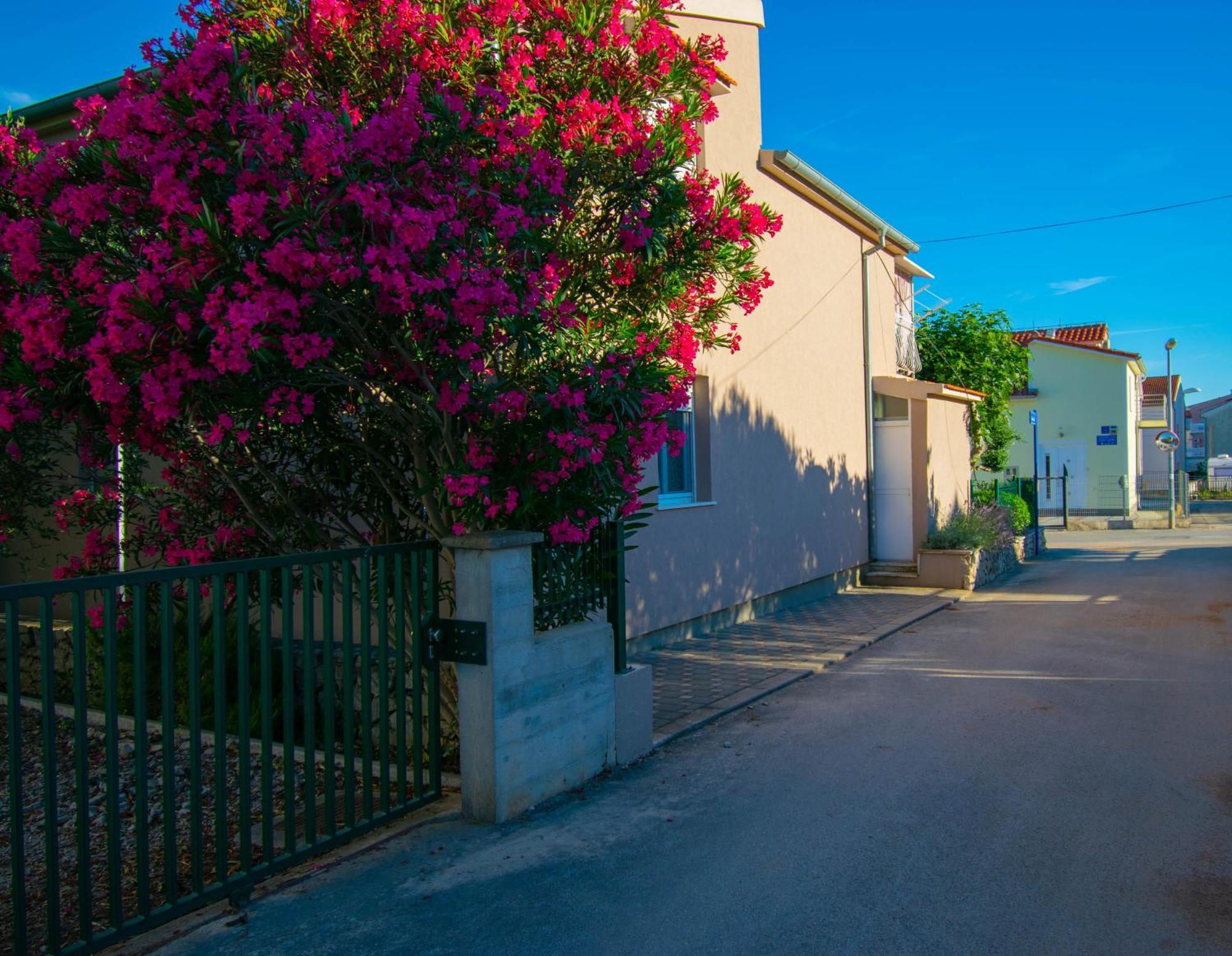 Anita Frane * Vodice