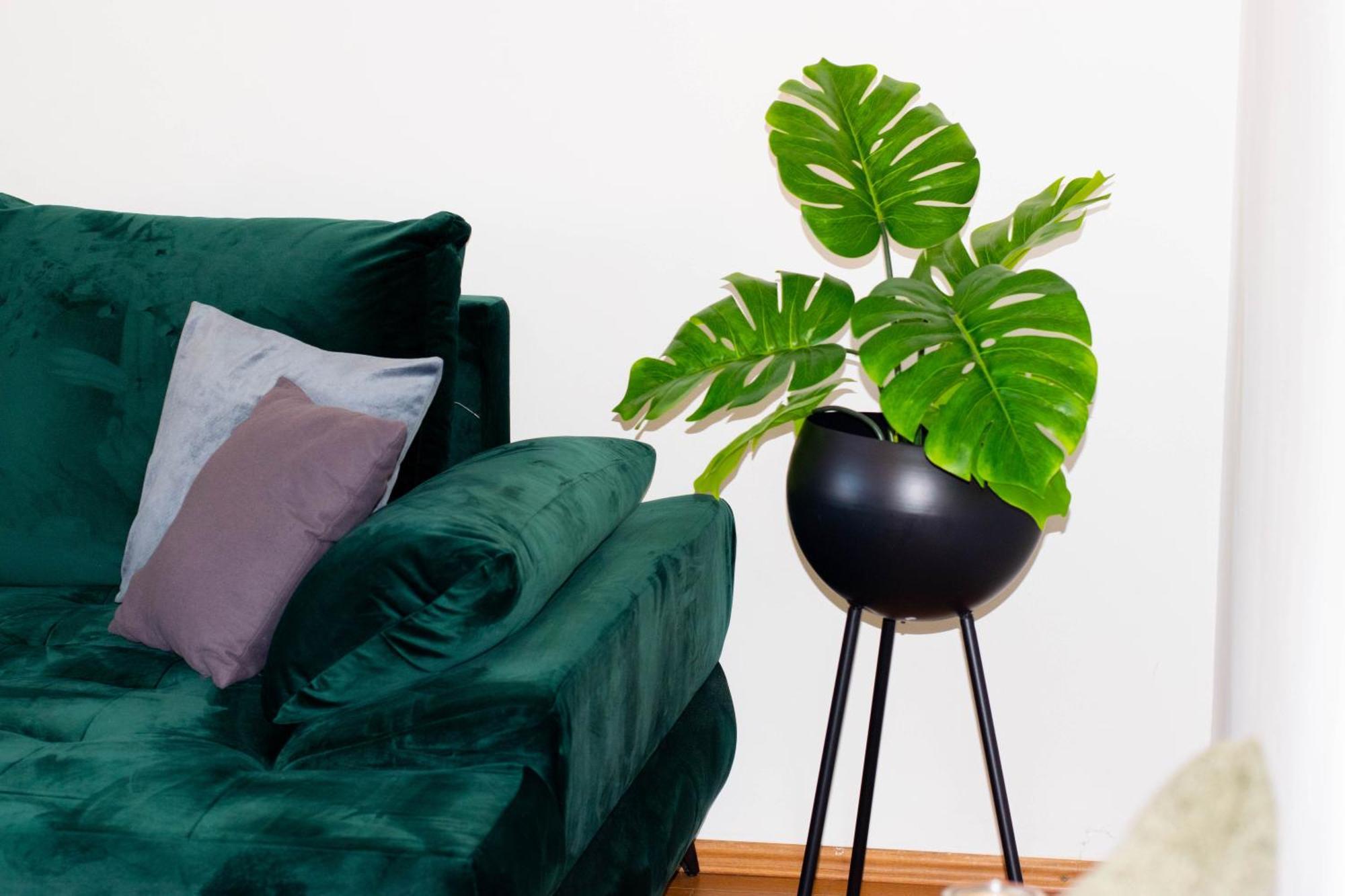 Anita Frane Apartman